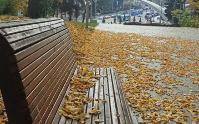 Місто у фокусі