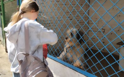 17 квітня в рамках тижня природничих дисциплін відбулася акція “Доброта”